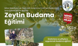 milas-belediyesi-ciftcilere-uygulamali-zeytin-budama-egitimi-verecek-81cgEdUr.jpg