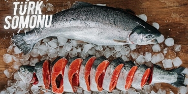 turk-somonu-ihracati-5-yilda-17-kat-artti-5XFf9y7n.jpg