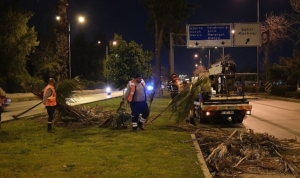 buyuksehirden-gece-budama-calismasi-pdTYfXvr.jpg