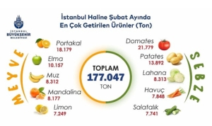 istanbulda-subat-ayinda-portakal-ve-domates-zirvede-ZzsskIJX.jpg