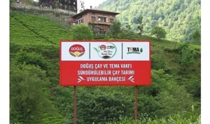 dogus-cay-ve-tema-vakfindan-saglikli-topraklar-ve-surdurulebilir-cay-tarimi-icin-ortak-adim-9DED6Mjx.jpg