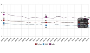 isgucu-istatistikleri-mart-2025-tWL4JZjK.jpg