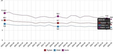 isgucu-istatistikleri-mart-2025-tWL4JZjK.jpg