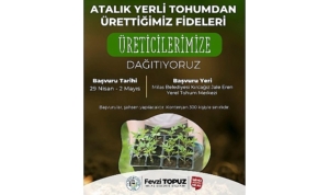 milas-belediyesi-ata-tohumlarini-yasatmak-amaciyla-sebze-fidesi-dagitimi-gerceklestirecek-MRbnmhOI.jpg