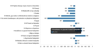 ucretli-calisan-istatistikleri-subat-2025-lM4gZBEh.jpg